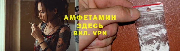 индика Нягань