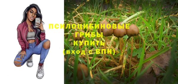 тгк Осинники