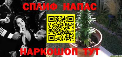 прущая мука Волгодонск