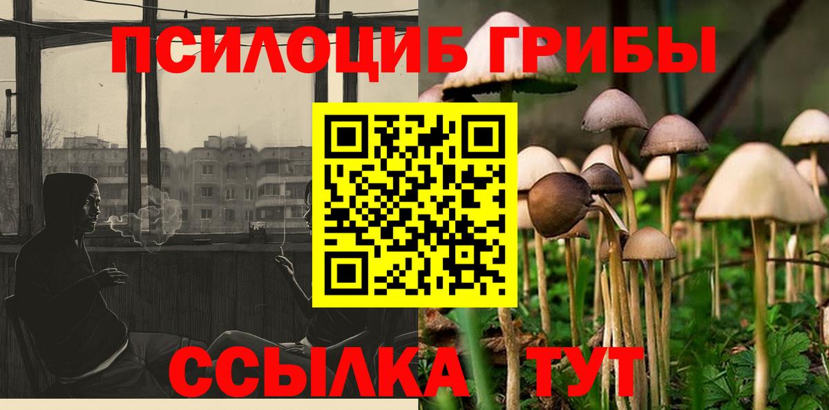 Псилоцибиновые грибы Psilocybine cubensis  Галлюциногенные грибы MAGIC MUSHROOMS  Вход с VPN  Грязи 