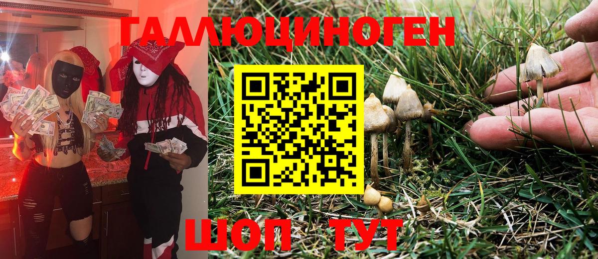 Галлюциногенные грибы Psilocybe Грязи